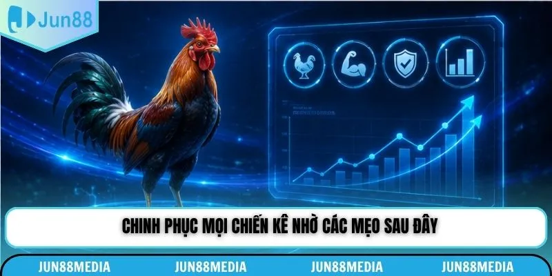 Chinh phục mọi chiến kê nhờ các mẹo sau đây
